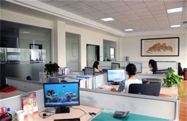 公司展示